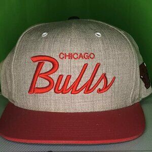 Mitchell and Ness Chicago Bulls Script Hat Snapback Gray and Red W Grn- Vintage